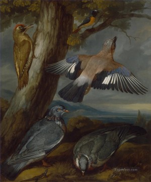 花 鳥 Painting - フランシス・バーロウ・ジェイ・アオキツツキのハトとジョウビタキの鳥
